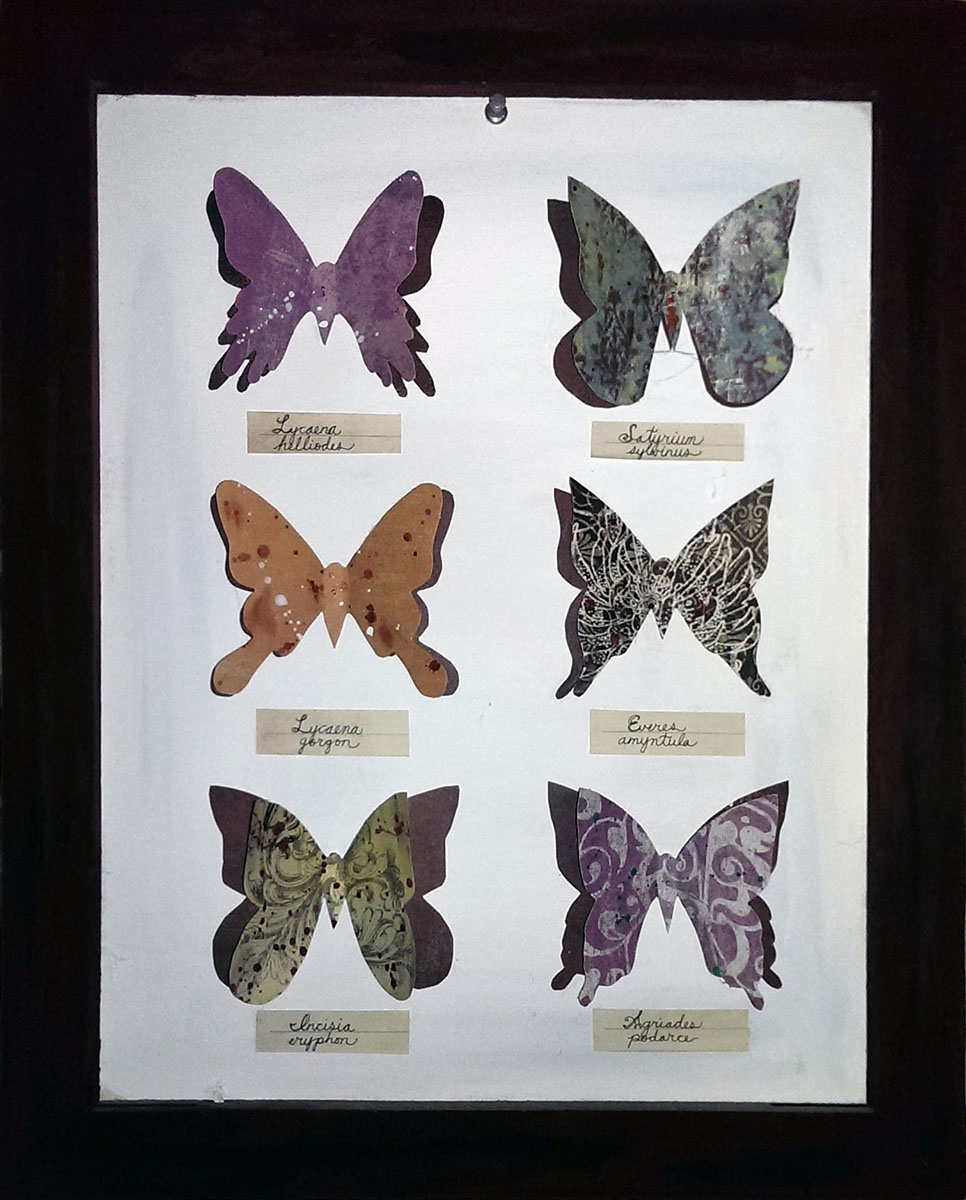 butterfly.jpg (101738 bytes)