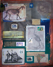 explorercollage.jpg (146389 bytes)